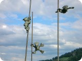 Luftzirkus (Privatbesitz)